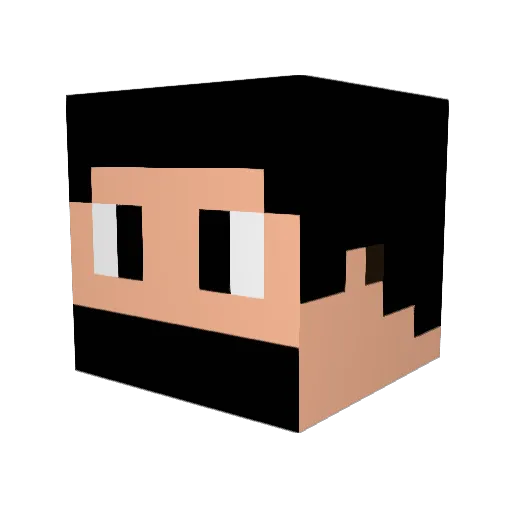 Nickros_ Minecraft avatar head, 3D render