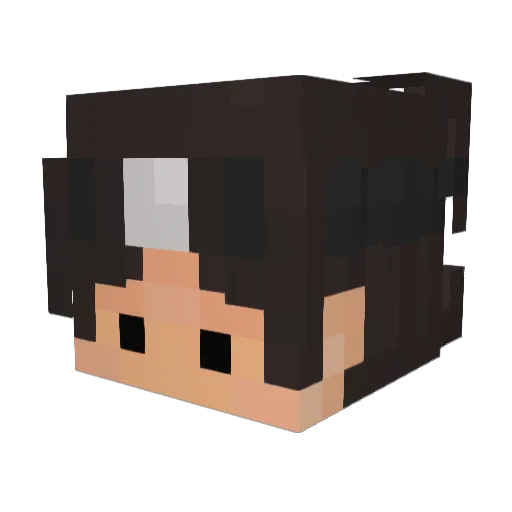 Nicks7_ Minecraft avatar head, 3D render
