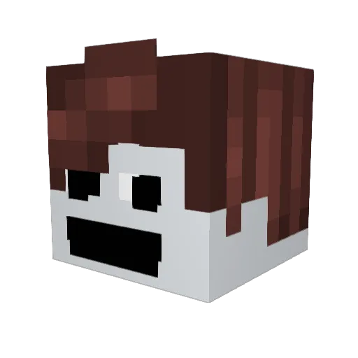 Nicksin1 Minecraft avatar head, 3D render