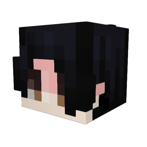 Nickszboi Minecraft avatar head, 3D render