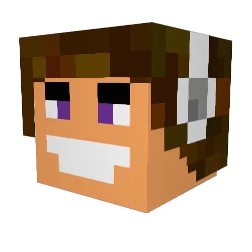 NickuPL Minecraft avatar head, 3D render