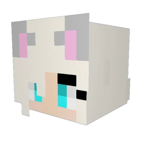 NickwoYT Minecraft avatar head, 3D render