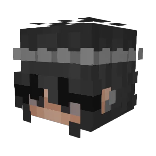 Nicky4778 Minecraft avatar head, 3D render