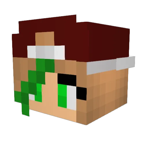 NickyFarm21 Minecraft avatar head, 3D render