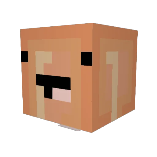 NickyM99 Minecraft avatar head, 3D render
