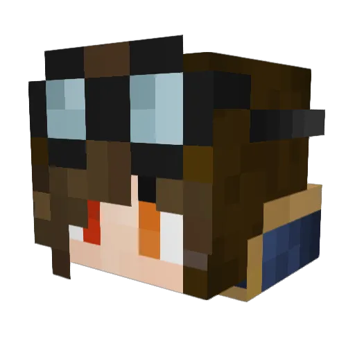 NickyT2553 Minecraft avatar head, 3D render
