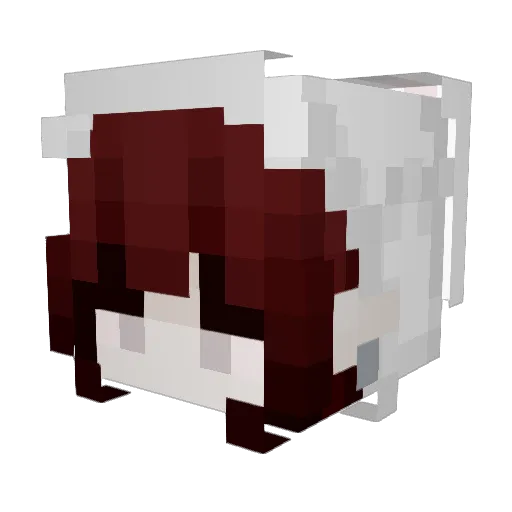 NickyTics Minecraft avatar head, 3D render