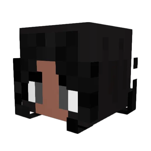 Nicky_1215 Minecraft avatar head, 3D render