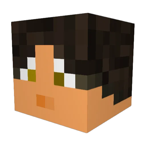 Nickyciao Minecraft avatar head, 3D render