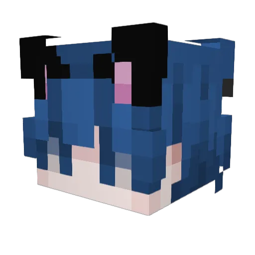 Nickyplayz1234 Minecraft avatar head, 3D render