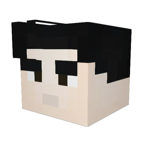 Nickzagoon Minecraft avatar head, 3D render