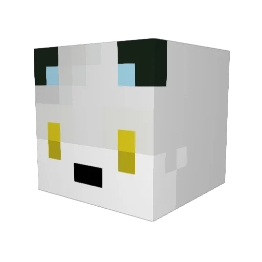 NiclasLP Minecraft avatar head, 3D render