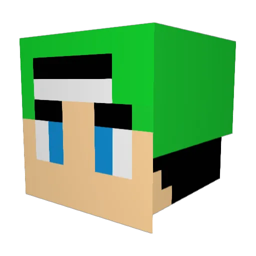 NiclasYoshi03 Minecraft avatar head, 3D render