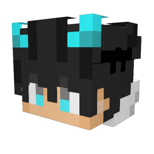 Nicles9260 Minecraft avatar head, 3D render
