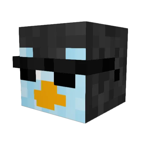 Nico454ss Minecraft avatar head, 3D render