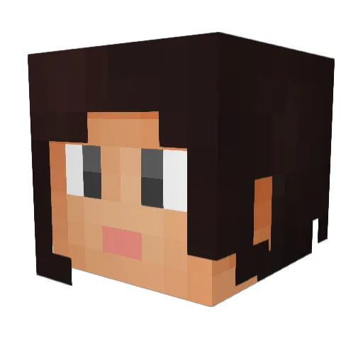 Nico523 Minecraft avatar head, 3D render