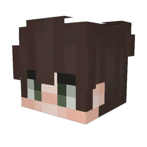 Nico5 Minecraft avatar head, 3D render