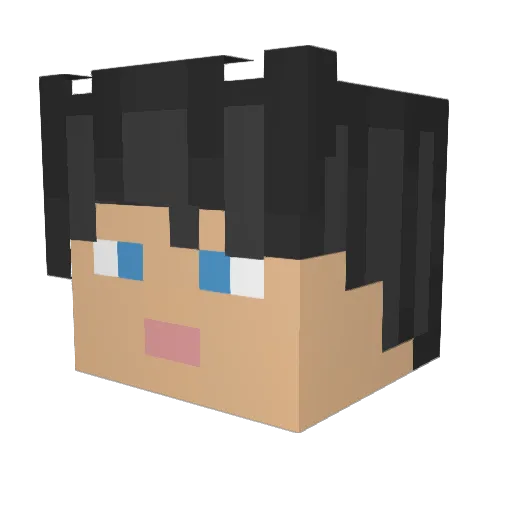 NicoDaMaster Minecraft avatar head, 3D render
