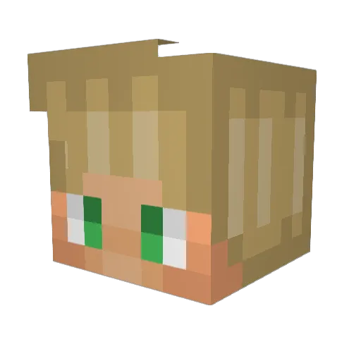 NicoLOOL Minecraft avatar head, 3D render