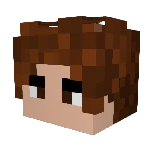 NicoLasMan22 Minecraft avatar head, 3D render