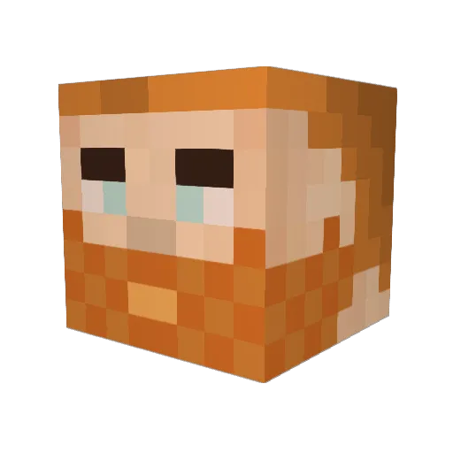 NicoLeRigolo Minecraft avatar head, 3D render
