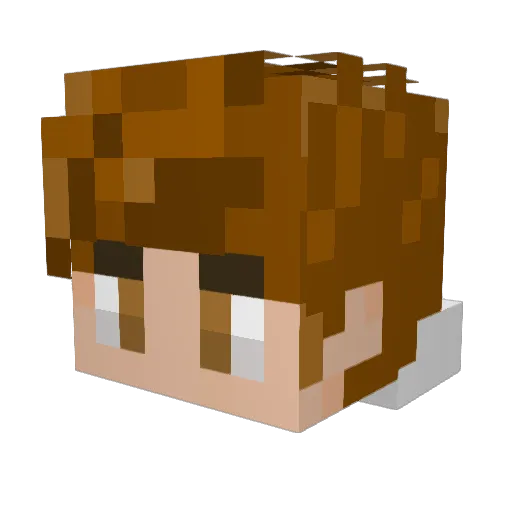 NicoMc564 Minecraft avatar head, 3D render