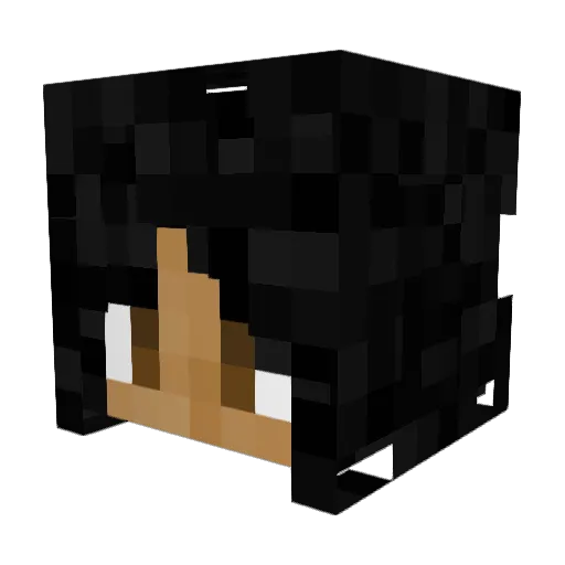 NicoRGD Minecraft avatar head, 3D render