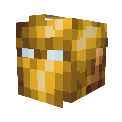 NicoSims Minecraft avatar head, 3D render