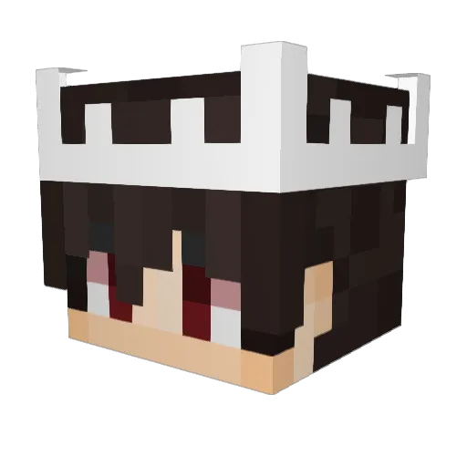 Nico____________ Minecraft avatar head, 3D render