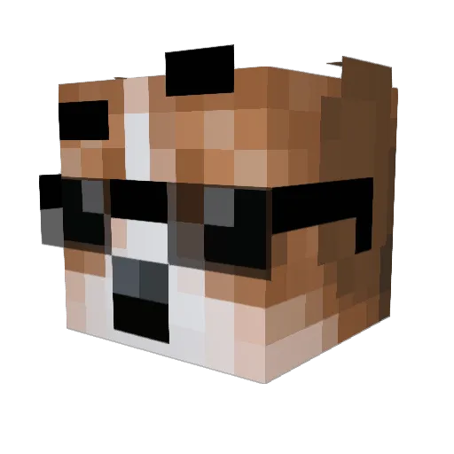 Nico_ytgg Minecraft avatar head, 3D render