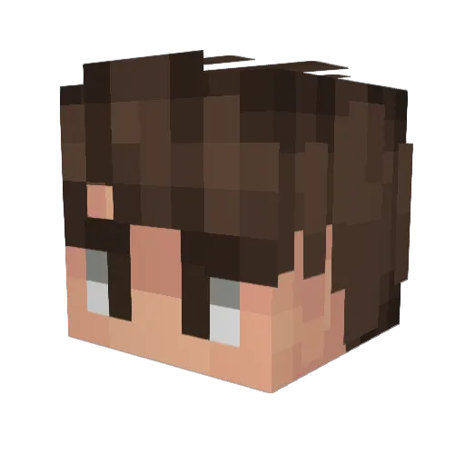 Nicoca06 Minecraft avatar head, 3D render