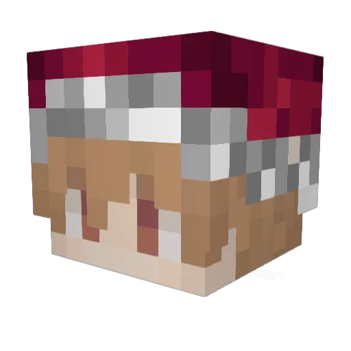 Nicoftf Minecraft avatar head, 3D render