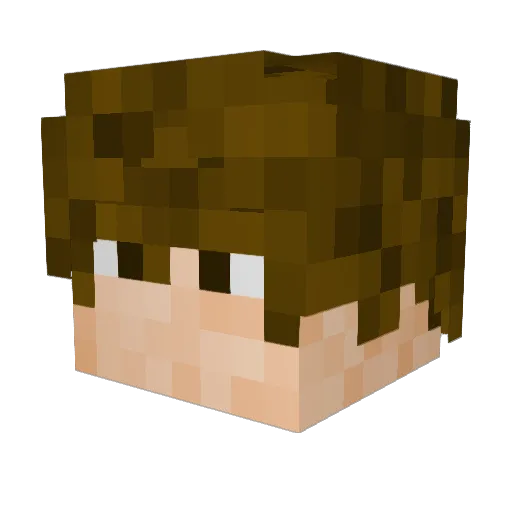 Nicogi17 Minecraft avatar head, 3D render