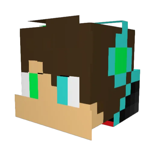 Nicoherrmi Minecraft avatar head, 3D render