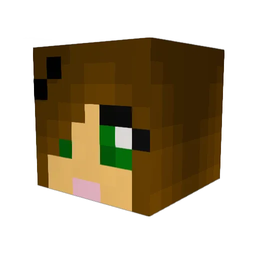 Nicokacola Minecraft avatar head, 3D render