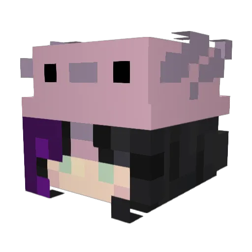 NicolJuliette Minecraft avatar head, 3D render