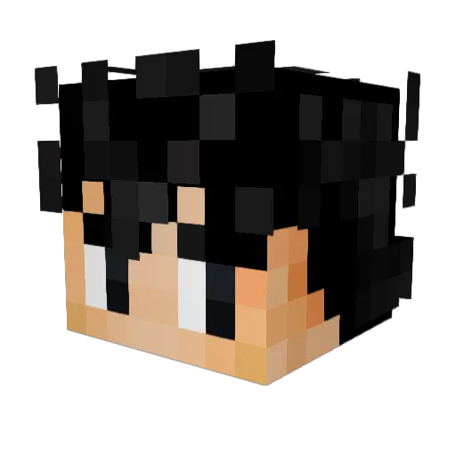 Nicolai2206 Minecraft avatar head, 3D render