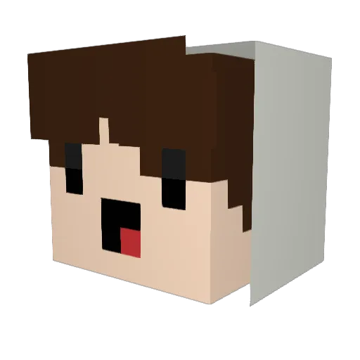 Nicolas03 Minecraft avatar head, 3D render