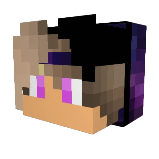 NicolasSFZ Minecraft avatar head, 3D render