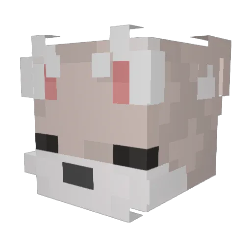 NicolasTown Minecraft avatar head, 3D render