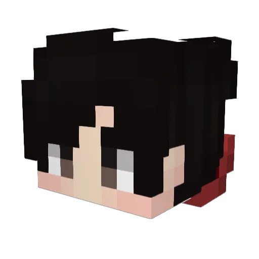 Nicolas_Eu Minecraft avatar head, 3D render
