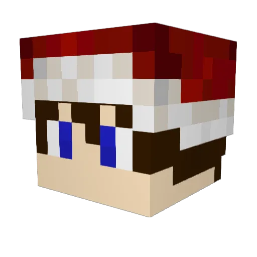 Nicolas_Salvini Minecraft avatar head, 3D render
