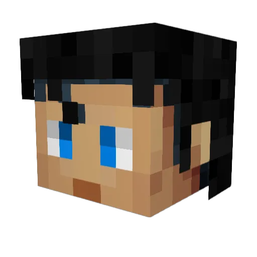 Nicolasf96 Minecraft avatar head, 3D render