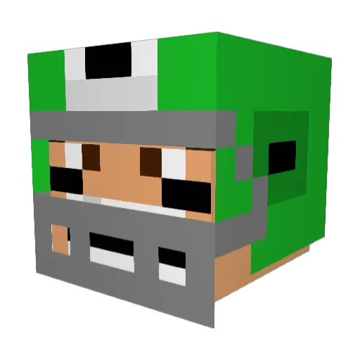 Nicolass11 Minecraft avatar head, 3D render