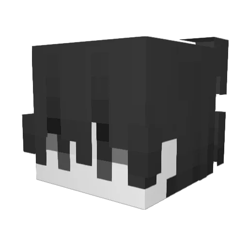 Nicolasxx44 Minecraft avatar head, 3D render