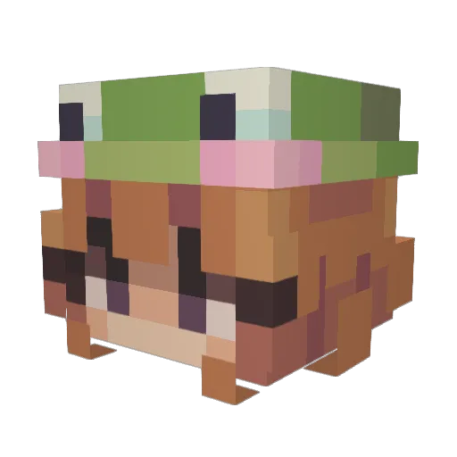 Nicolciax Minecraft avatar head, 3D render