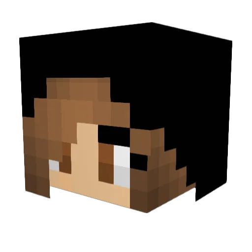 Nicole1271 Minecraft avatar head, 3D render