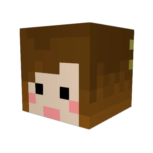 Nicole18 Minecraft avatar head, 3D render