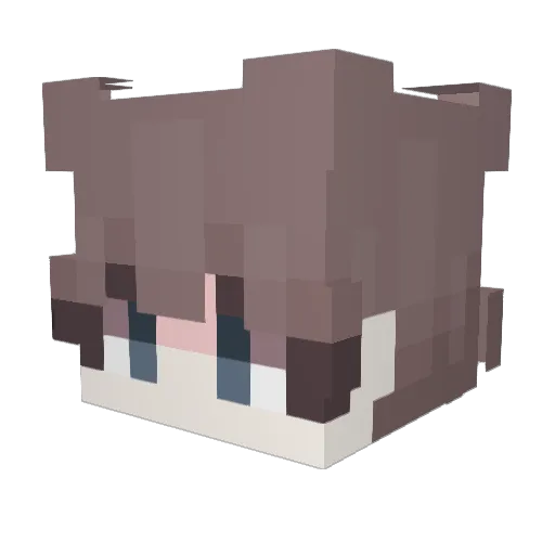 Nicole3914 Minecraft avatar head, 3D render