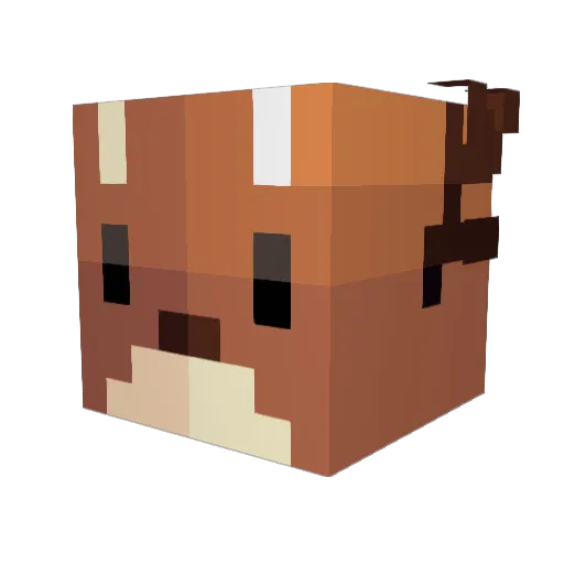 NicoleCP Minecraft avatar head, 3D render